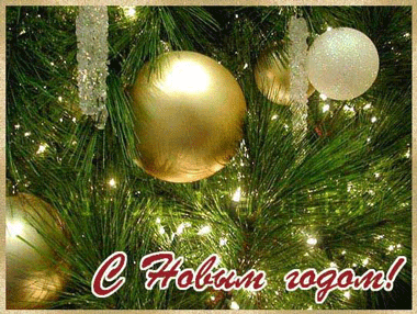 � ����� 2026 �����!